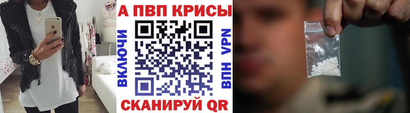 дарнет шоп  Грайворон  Alpha PVP СК 