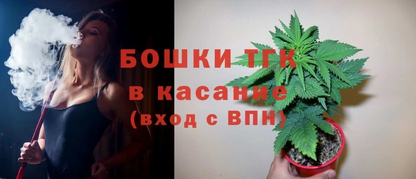 гашик Семилуки