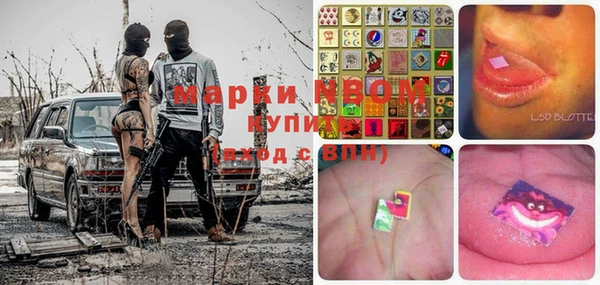 ECSTASY Алзамай