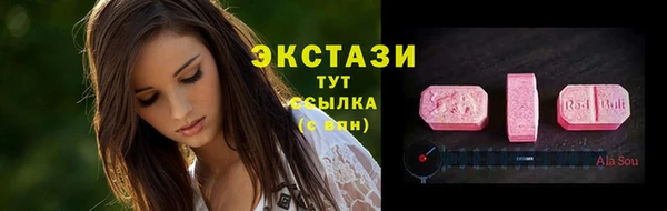 ECSTASY Алзамай