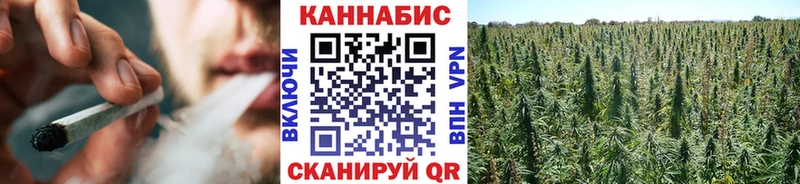 Канабис Bruce Banner  дарнет шоп  Грайворон 